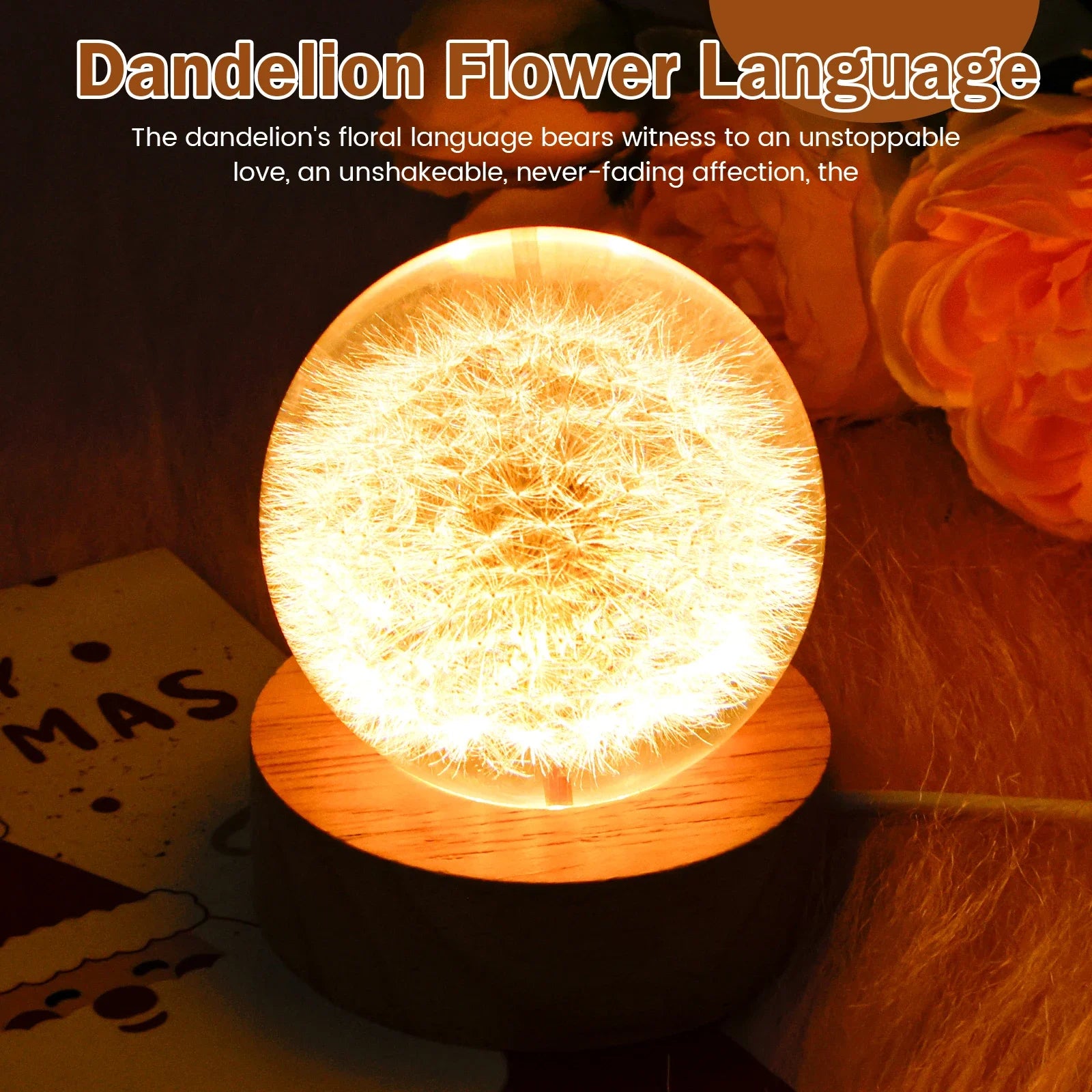 3D Dandelion Crystal Ball LED Night Light with Beech Wood Stand Preserved Flower Sphere Ball Resin Craft Home Decor Bithday Gift