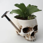 Resin Human Skull Model Flower Pot Shining Fancy Multifunctional Fruit Plate Storage Container Tank Container Home Decor Crafts