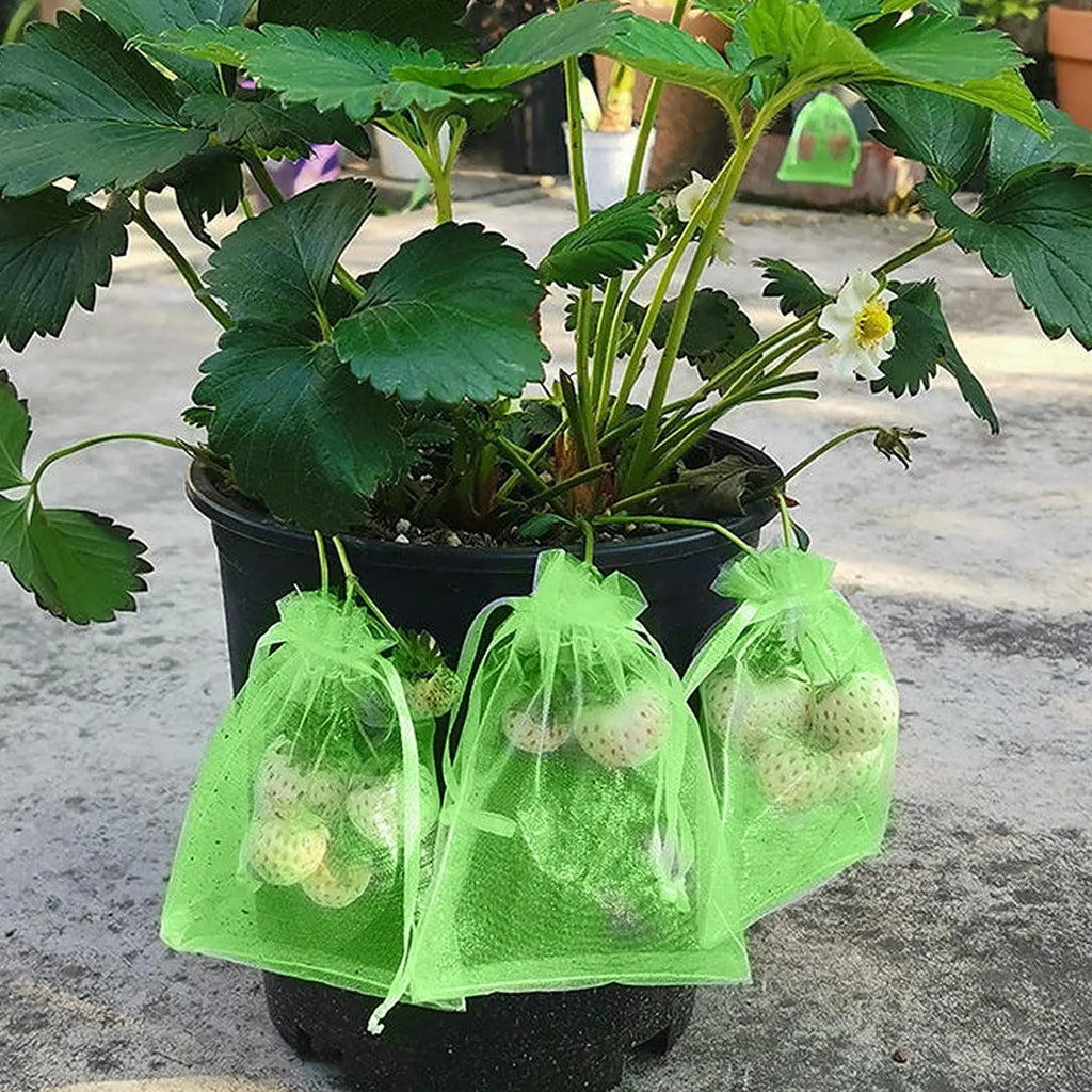 100/50/20Pcs Grape Protection Bags with Drawstring Fruit Protection Mesh Bag Protective Pouches for Strawberry Organza Gift Bags