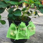 100/50/20Pcs Grape Protection Bags with Drawstring Fruit Protection Mesh Bag Protective Pouches for Strawberry Organza Gift Bags