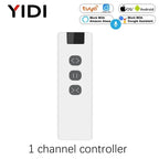 Customized Smart 25mm Curtain Motor Electric Roller Blinds Shutter Tubular Motor 38mm Tube Tuya Wifi Curtain Switch Moudle Alexa
