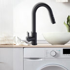 kitchen faucet with a pull - down sprayer， Without Deck Plate,Fit for kitchen sink or laundry sink