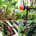1000-100pcs Adjustable Irrigation Drippers Sprinklers 8 Holes Garden Potted Plant Water Dropper Head Watering Irrigation System