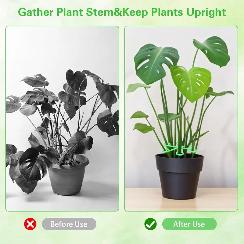 Plants Flowers Stem Support Stakes Climbing Plant Stand Frame Fixing Clips Trellis Reusable Plant Stem Frames Holder Rack Hoops