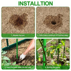 "Sturdy Growth" 20Pack Multi-Purpose Plant Support Stakes - Durable Vegetable & Vine Trellis For Tomatoes, Cucumbers, Grapes