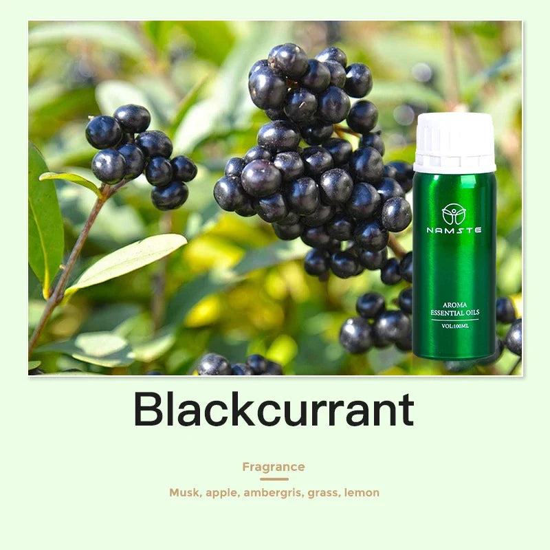 Namste 100ML Floral Fruity Collection Lavender Jasmine Green Tea Perfu
