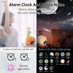 Galaxy Projector Night Light 13 in 1 Constellations Planetarium Star Projector  Ceiling Space Planets Projector Living Room Deco