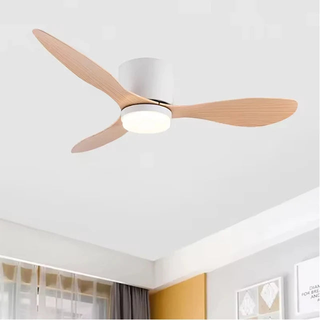 Modern LED Ceiling Fan Lights Low Floor Decorative Lights with Remote
