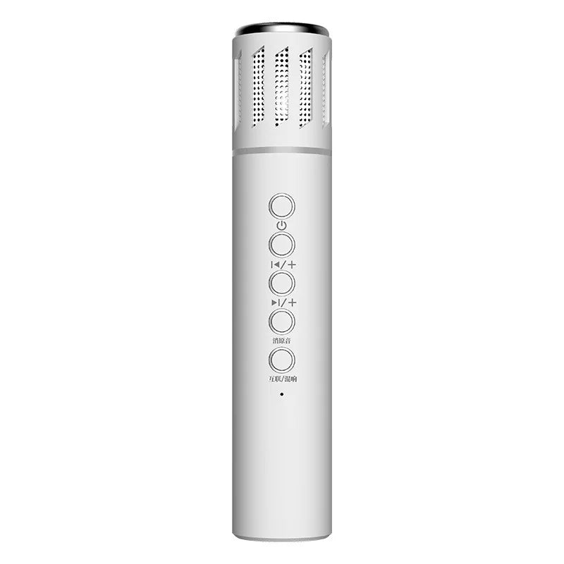 New K20 Bluetooth Speaker Wireless Live Broadcast Microphone Integrated Mobile Phone Karaoke Large Capacity Battery