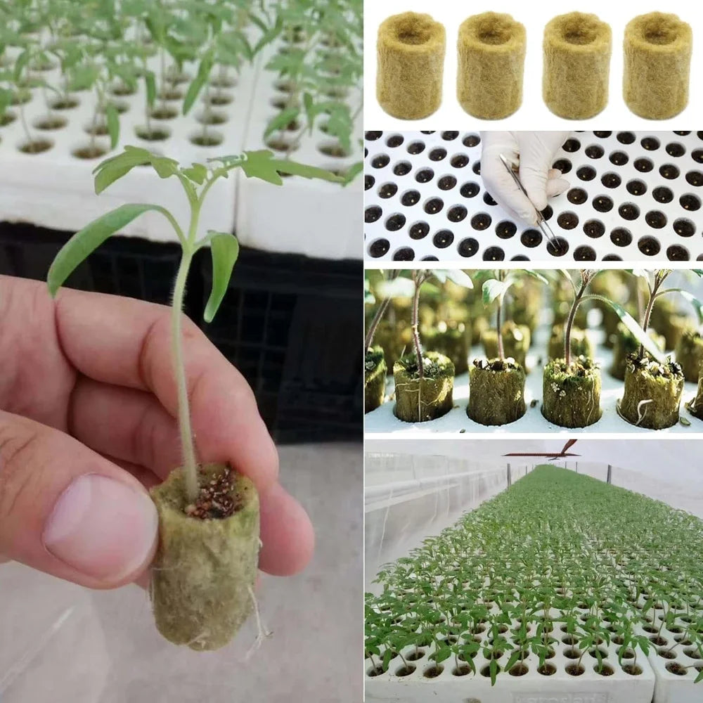 Seedling Grow Plug Sponge Block Starter Stonewool Planting Cubes Soilless Hydroponics Cuttings Garden Plants Propagation Tools